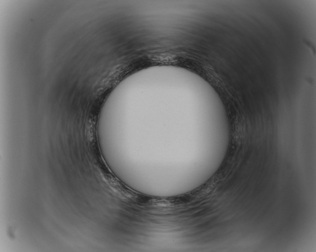X0000103960658200809191335