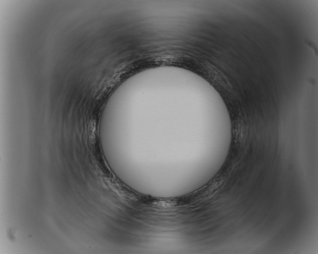 X0000103960660200809191336