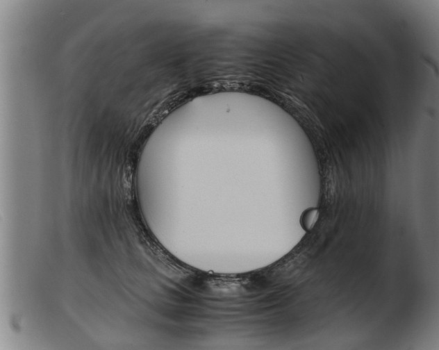 X0000103960661200809191336