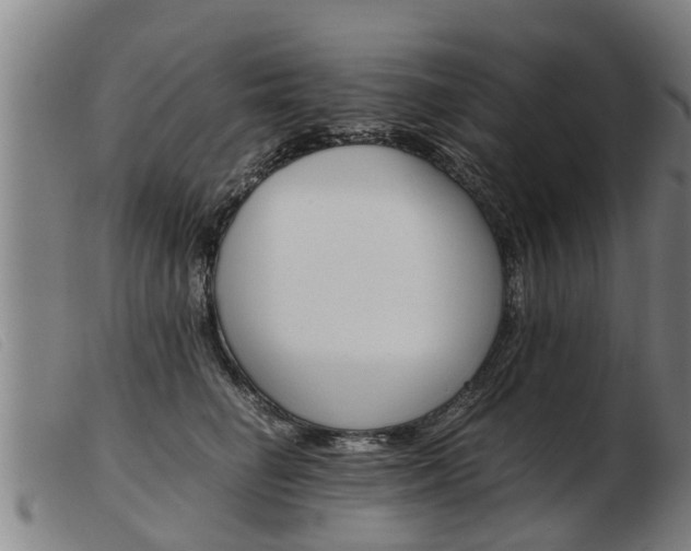 X0000103960662200809191336