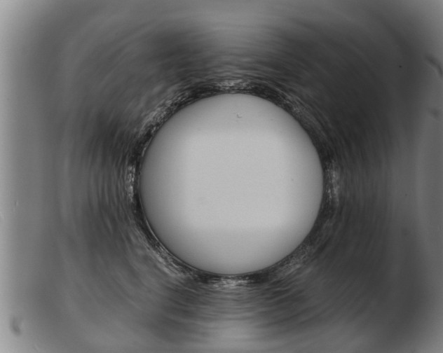X0000103960664200809191336