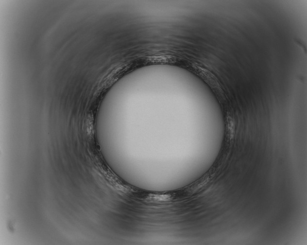 X0000103960665200809191336