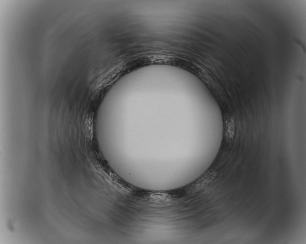 X0000103960666200809191336