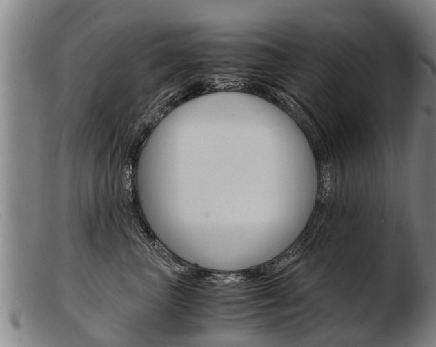 X0000103960667200809191336