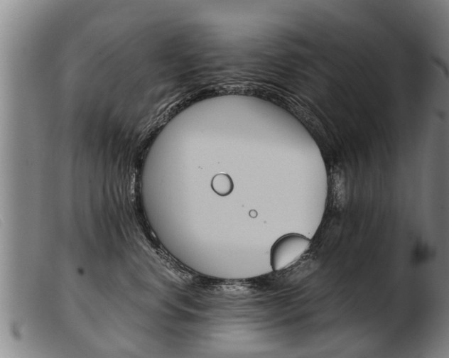 X0000103960668200809191336