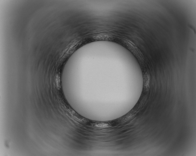 X0000103960669200809191336