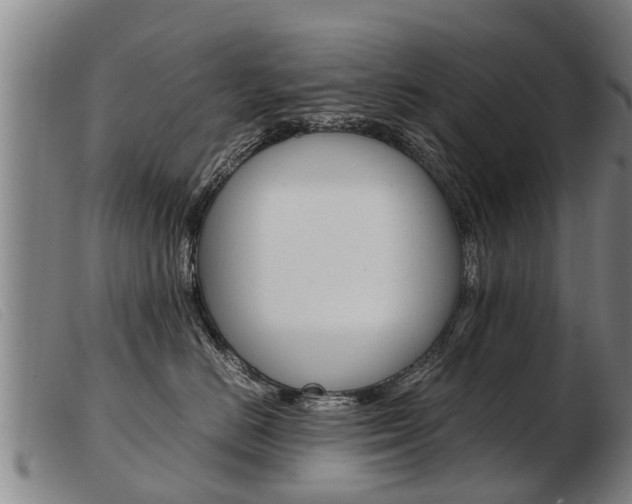 X0000103960670200809191336
