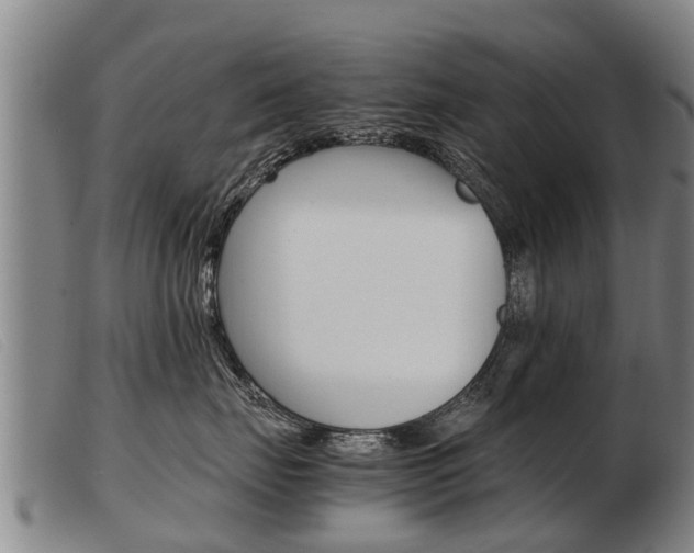 X0000103960671200809191336