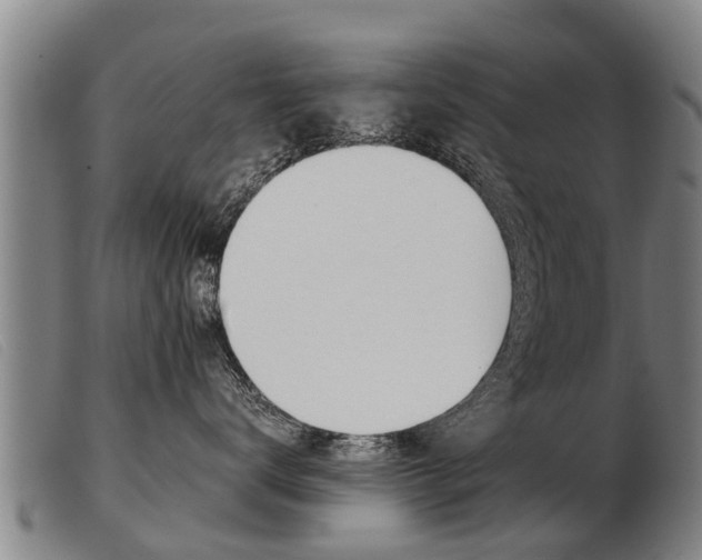 X0000103960672200809191336