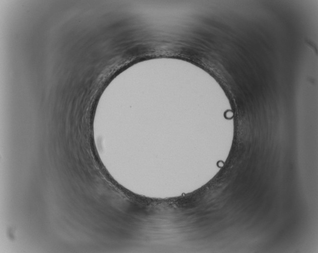 X0000103960673200809191335