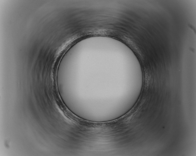 X0000103960674200809191335