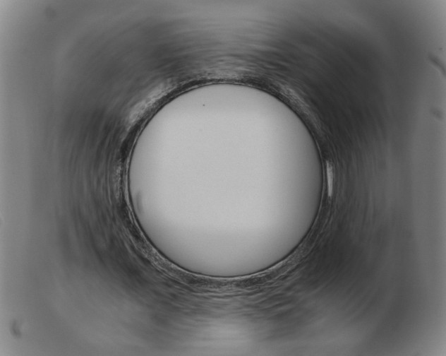 X0000103960675200809191335