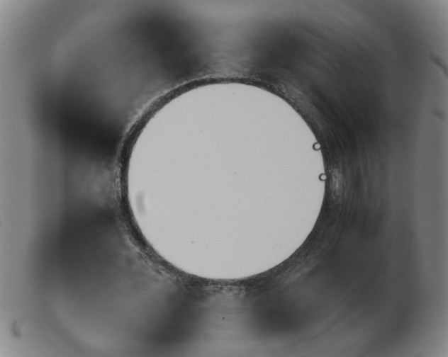 X0000103960676200809191335
