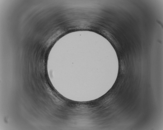 X0000103960677200809191335