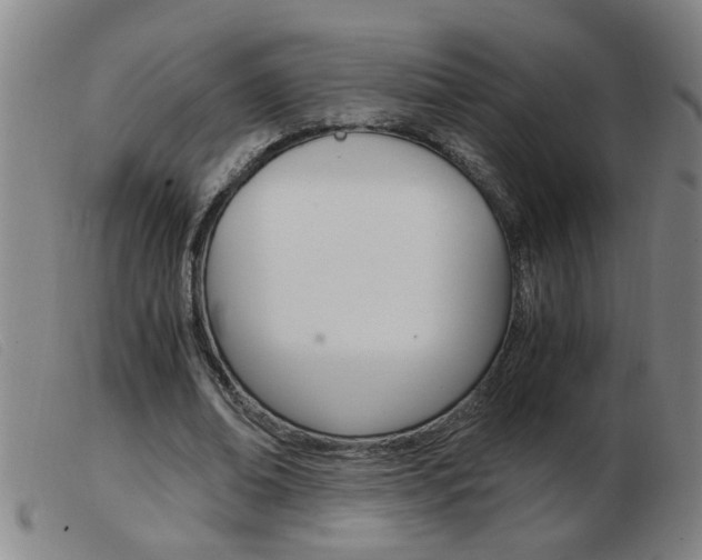 X0000103960678200809191335