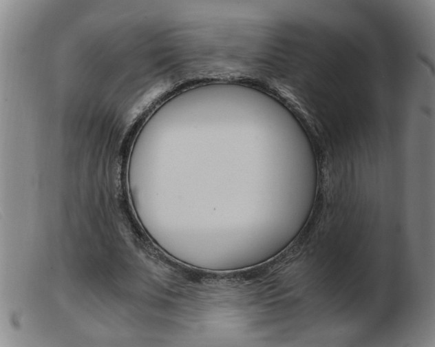 X0000103960679200809191335