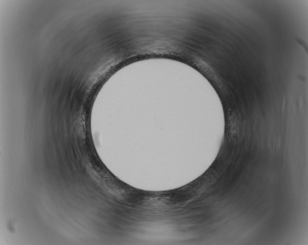 X0000103960680200809191335