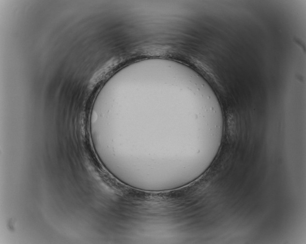 X0000103960682200809191335