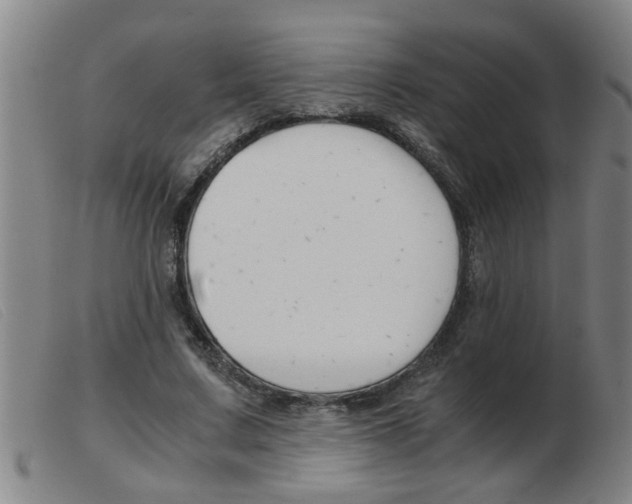 X0000103960683200809191335