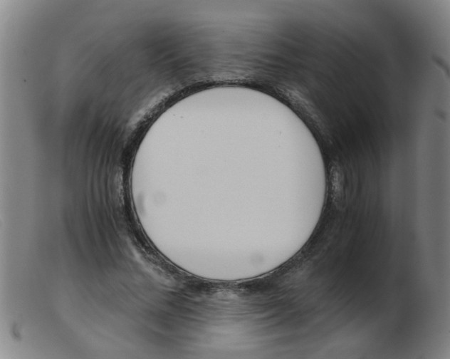 X0000103960684200809191335