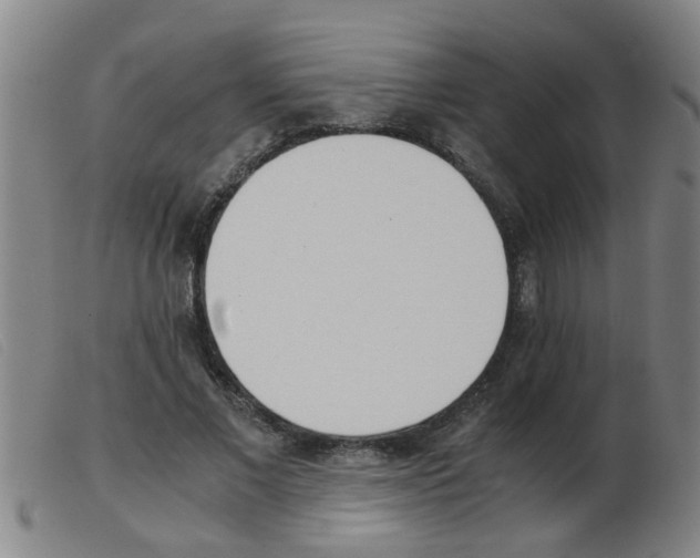 X0000103960685200809191335