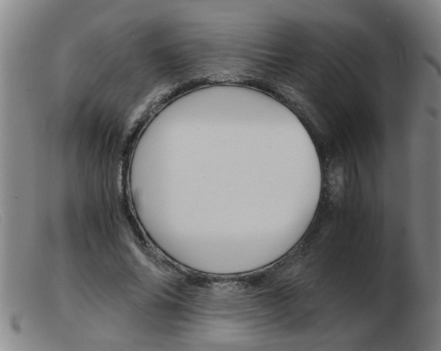 X0000103960686200809191335