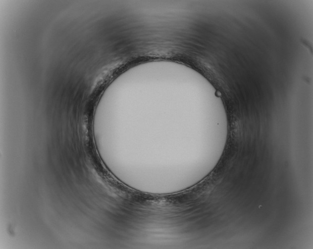 X0000103960688200809191335