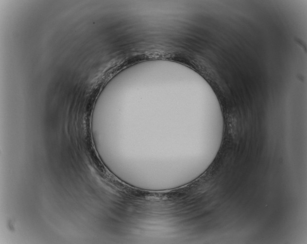X0000103960690200809191335