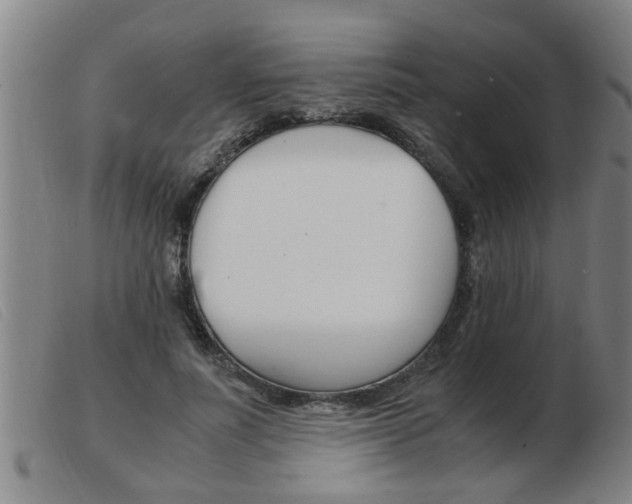 X0000103960691200809191335