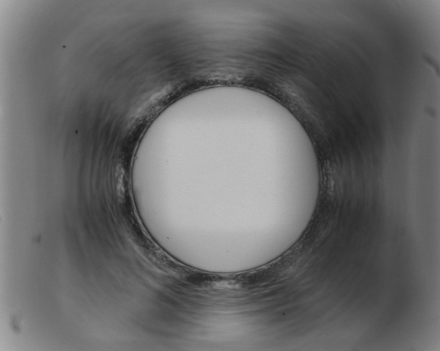 X0000103960692200809191335