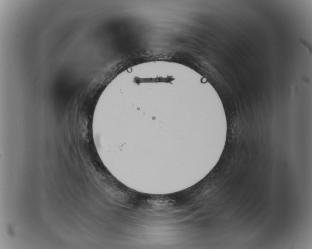 X0000103960693200809191335