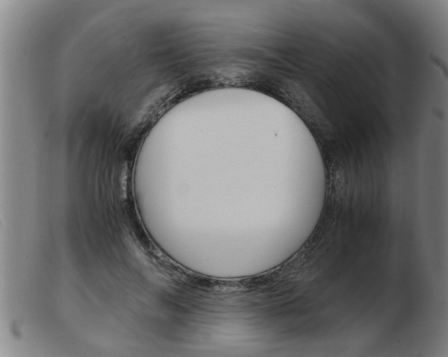 X0000103960694200809191335
