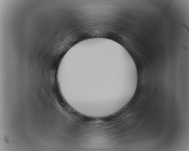 X0000103960695200809191335