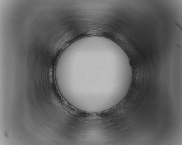 X0000103960696200809191335