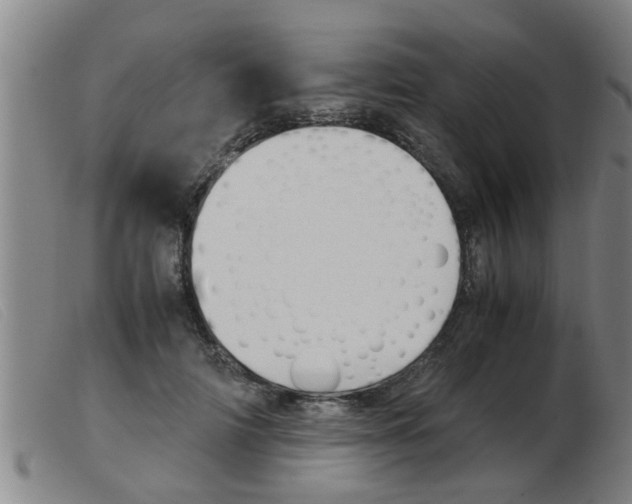 X0000103960698200809191335