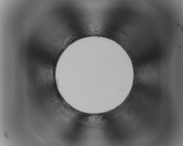 X0000103960700200809191335