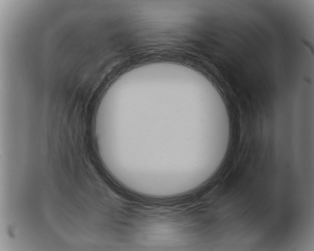 X0000103960701200809191335