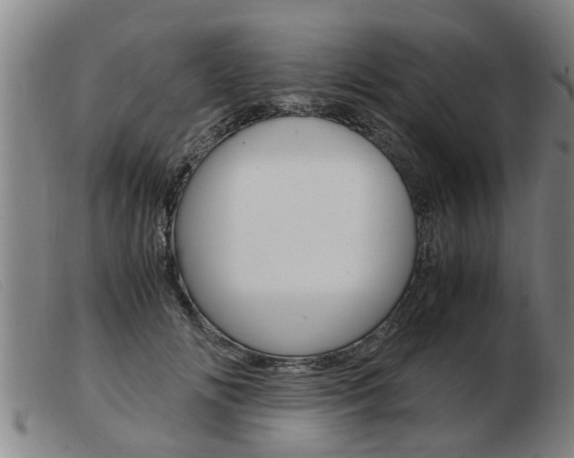 X0000103960702200809191335