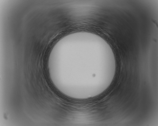 X0000103960705200809191335