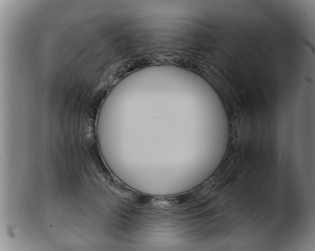 X0000103960706200809191335