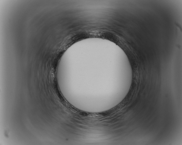 X0000103960707200809191335