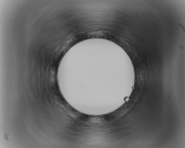 X0000103960708200809191335