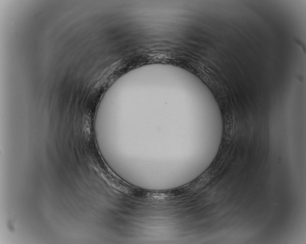 X0000103960710200809191335