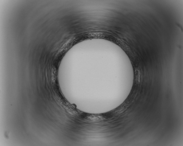 X0000103960712200809191334
