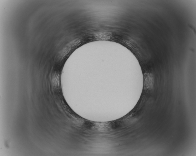 X0000103960713200809191334
