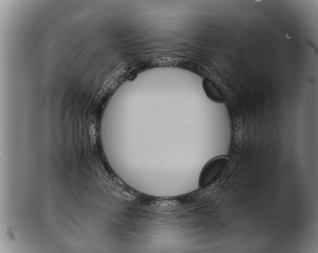 X0000103960716200809191334