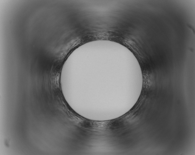 X0000103960717200809191334
