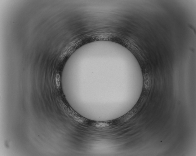 X0000103960718200809191334