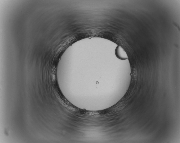 X0000103960719200809191334