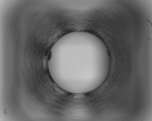 X0000103960720200809191334